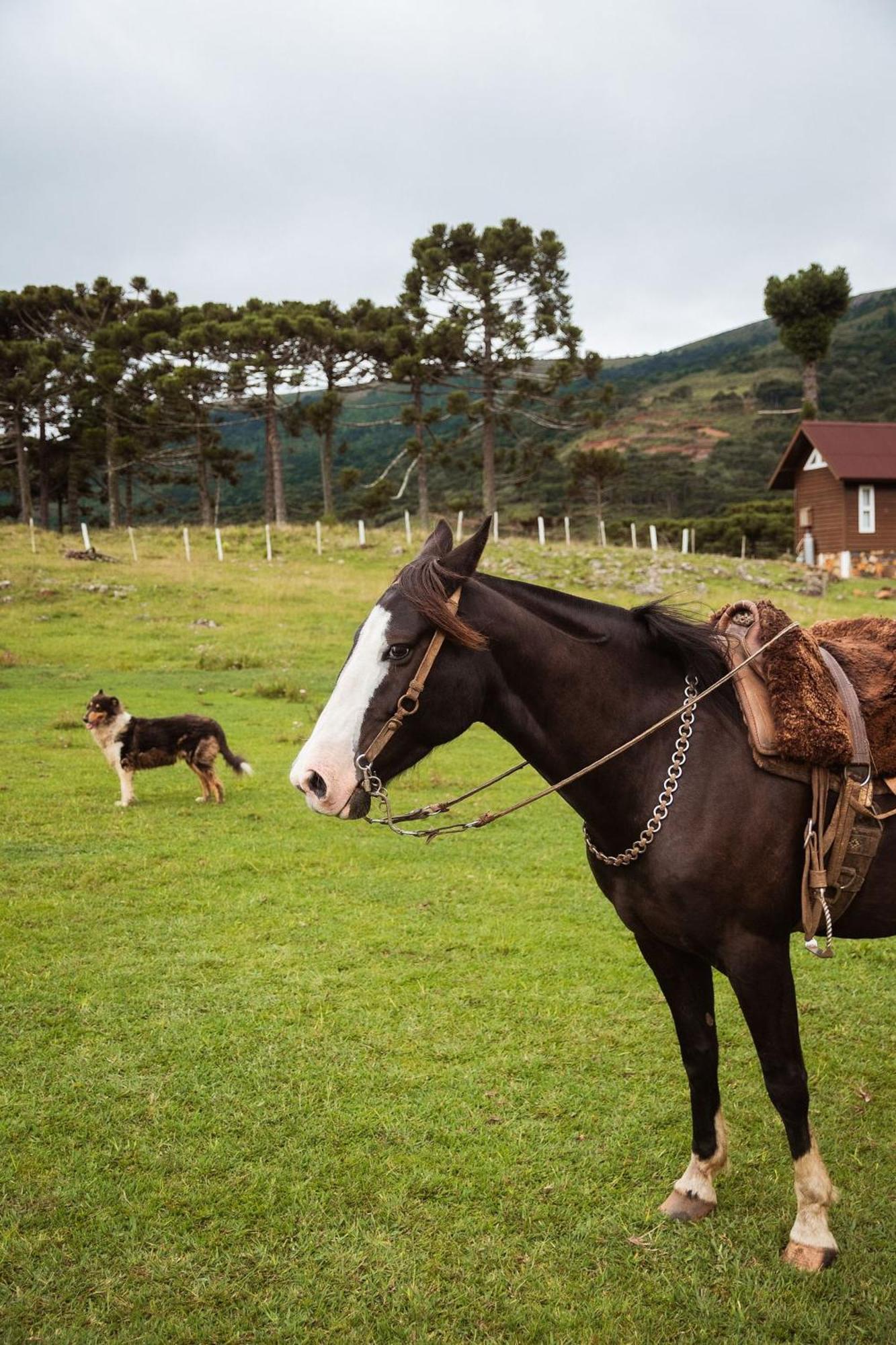 Recanto Das Aguas - Urubici - Sc Экстерьер фото
